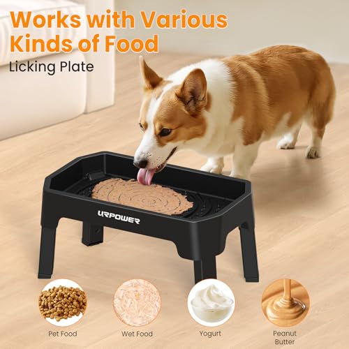 3-in-1 Elevated Dog Bowls with Slow Feeder & Licking Plate (Matte Black / Large)