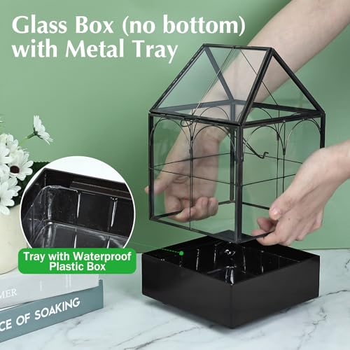 Glass Terrarium with Metal Tray (Small-5.9"L x 5.9"W x 10.2"H)