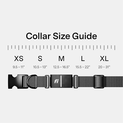 Series 3+ GPS Dog Collar & Tracker (Gray / X-Large)