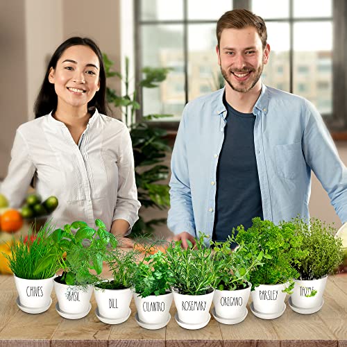 Herb Garden Starter Kit (8 Herb)