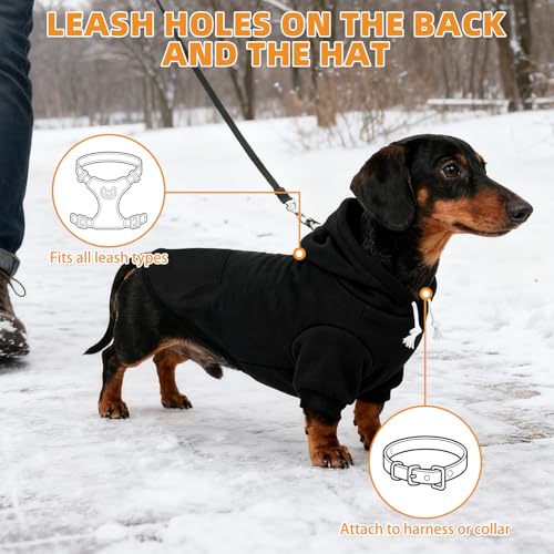 Dachshund Dog Hoodie (Dachshund Black / Small)