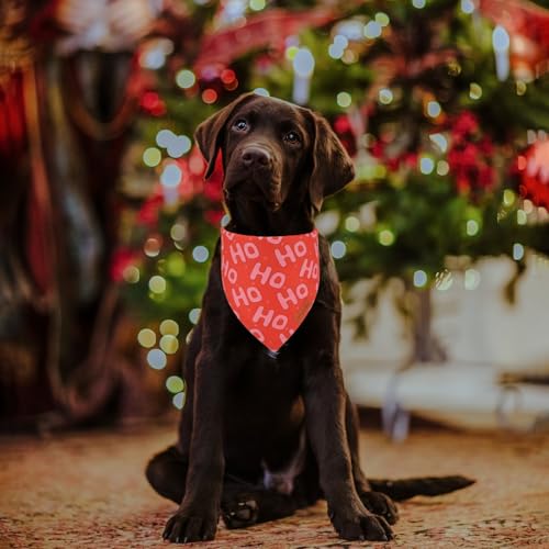 Christmas Dog Bandana (Large / Red and green)