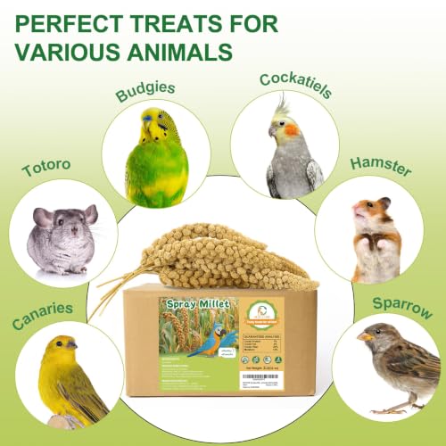 2LB Spray Millet Bird Treat for Parakeets