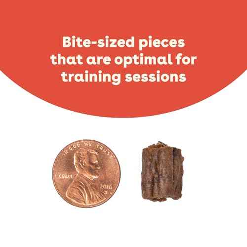Soft & Chewy Training Treats for Dogs & Puppies (10 Ounce (Pack of 2))