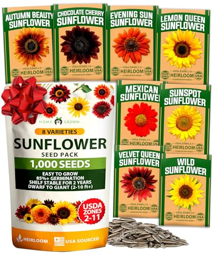 Sunflower Mix Seeds