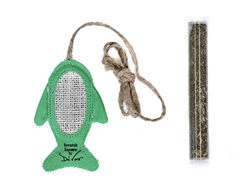Cat Scratcher Toy