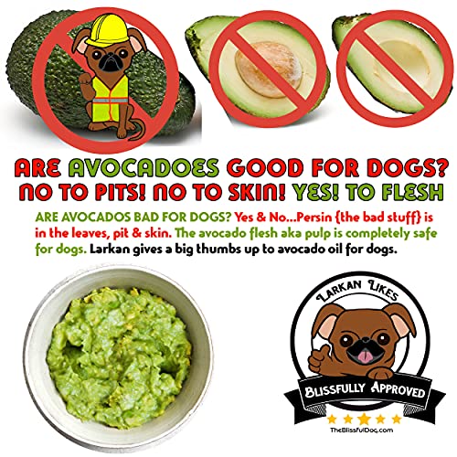 Smooth Coat Chihuahua Nose Butter for Dry (Chihuahua - Short Coat / 1 Ounce)