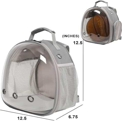 Bearded Dragon Travel Backpack with Harness and Leash Set (Gery)
