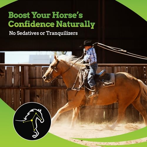 SynChill AF Horse Calming Supplement Gel (12-Pack)