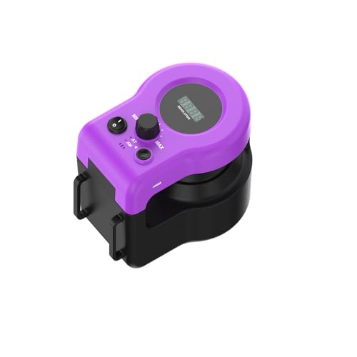 Interactive Cat Toy for Indoor Cats Chase (Elegant Purple)
