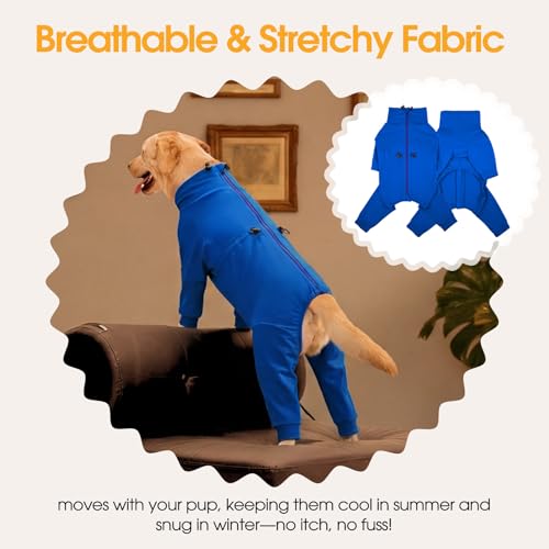 Recovery Suit for Large Dogs (Blue / XL)