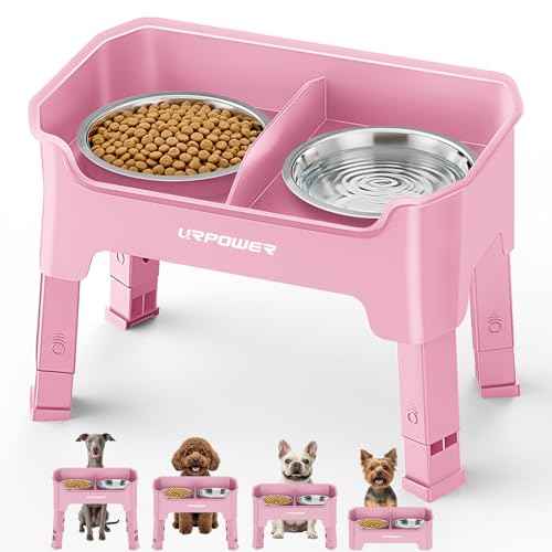 Mess Proof Elevated Dog Bowls (Pink / Small)
