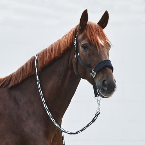 Kiel Horse Halter (Black / Cob)
