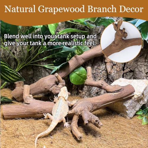 2PCS Snake Climbing Branch (Unpolished Reptile Climbing Wood)