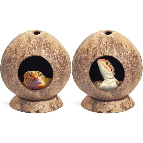 2 Pcs Natural Coconut Shell Reptile Hide Crested Gecko Tank Accessories for Small Lizard Leopard Gecko Spider Snail Hermit Crab Hideout (Smooth Surface / High-Crowned Style, 2PCS)