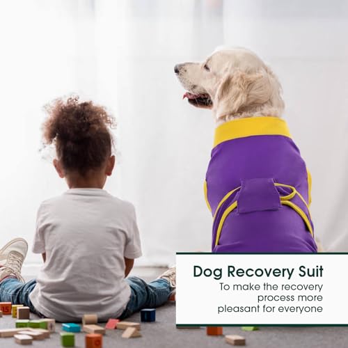 Recovery Suit for Dogs Cats (Large (Back:16.1-20.1'', Weight:23-48 Lb) / Violet Gold)
