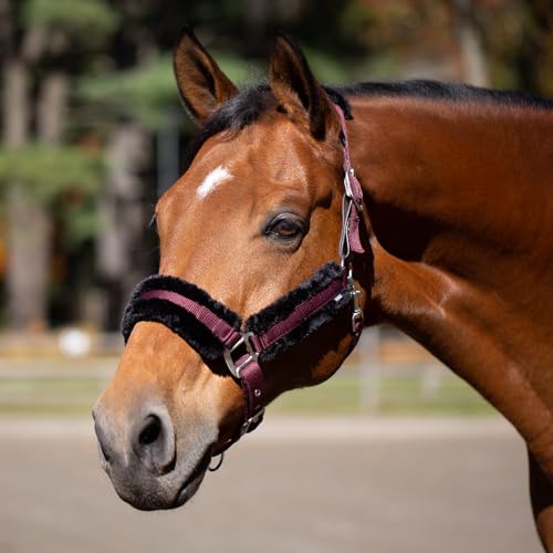 Valkyrie Ultra Fleece Padded Leather Fuse Breakaway Horse Halter (Wine Red/Black / Cob)