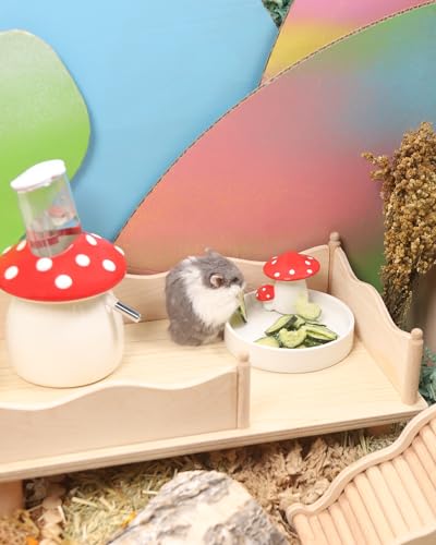 Hamster Snack & Treats Toy