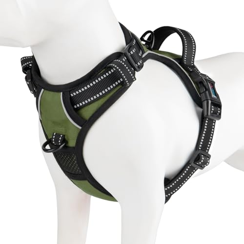 No Pull Dog Harness with Handle Reflective Padded Vest (Extra Small / Misty Green)