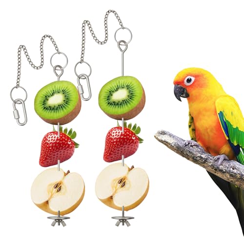 2 Pcs Chain Clauses Bird Cage Food Holder Stainless Steel Parrot Fruit & Vegetable Skewer Hanging Foraging Toy for Parakeets (Chain Clauses 2 Pcs)