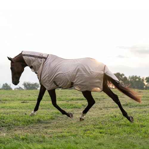Comfy Mesh Combo Neck Fly Sheet (81 in / Adobe Rose)