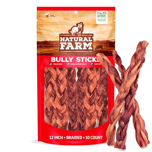 Odor Free Braided Bully Sticks (12" Braided - 10 Count)