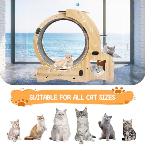 55" cat Wheel