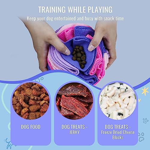 Pet Snuffle Ball (Pink and purple / 20cm)