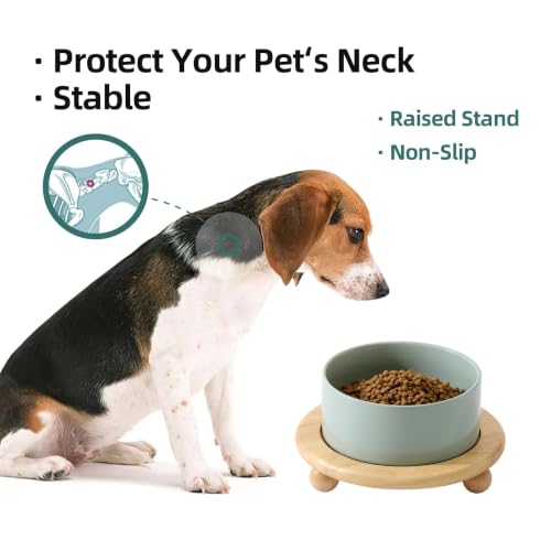 Raised Cat Bowl 6.1” Elevated Ceramic Cat Food and Water Bowl (Light Green)