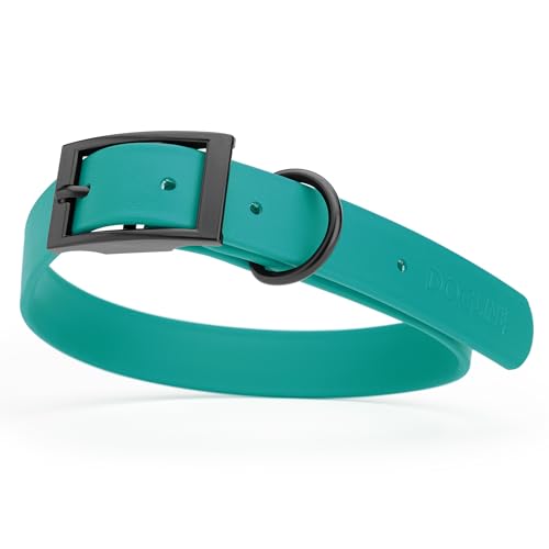 Biothane Waterproof Dog Collar Strong Coated Nylon Webbing with Black Hardware Odor (W1" x L22"-25" / Blue Aqua)