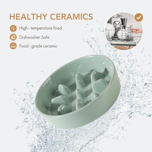 Ceramic Slow Feeder Dog Bowls (Light Green)