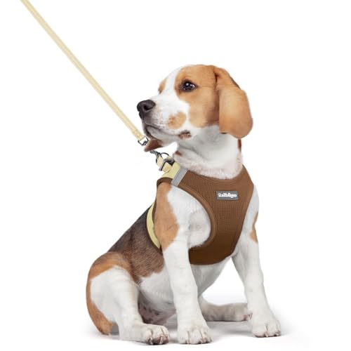 Dog Harness Medium Sized and Leash Set (Brown & Beige / L (chest: 18.2 - 20.5"))