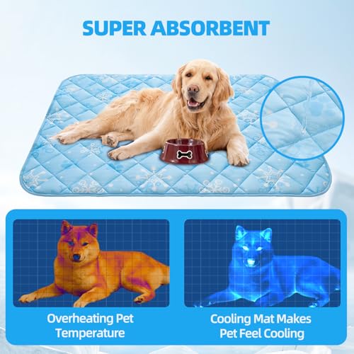 Dog Cooling Mat (Sky Blue Paw / Medium 19.5IN x 27.5IN)