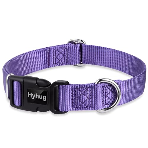 Purple Puppy Collar (Small / Ultra Violet)