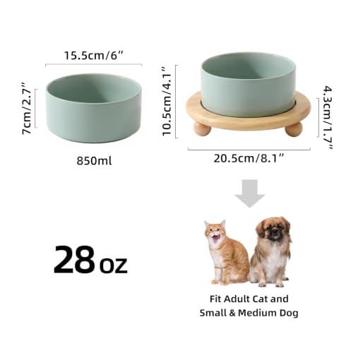 Raised Cat Bowl 6.1” Elevated Ceramic Cat Food and Water Bowl (Light Green)