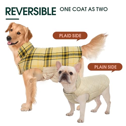 Waterproof Dog Coat (Yellow / 2X-Large (Pack of 1))