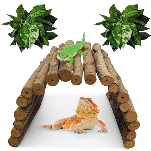 11.8 x 6.7 Inches Wooden Reptile Hideout Bearded Dragon Bendy Bridge Climbing Ladder Hiding Hut Reptiles Hide Cave Habitat Decor for Lizards Gecko Spiders Snakes Tortoise