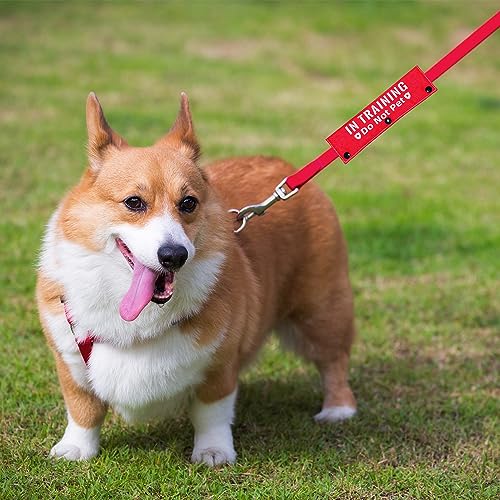 in Training Do Not Pet Funny Red Dog Leash Sleeve