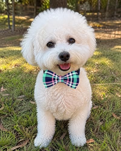 10 Pack Plaid Dog Bowties for Small Dogs Sliding on Collar (S/M)
