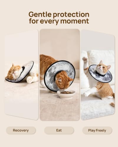 Soft Cat Cone Collar (Silent Moonlight / S)