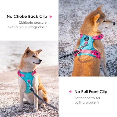 No Pull Dog Harness (Mint Green Base & Pink Straps / Extra Large)