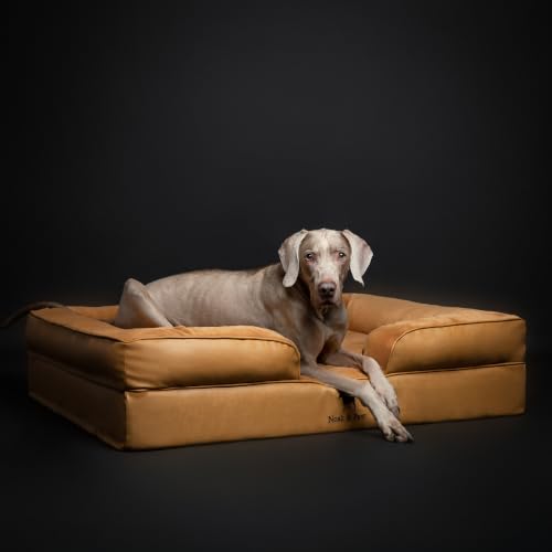 Large Dog Bed (Camel - LE / X-Large)