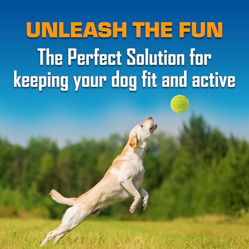 Classic Squeak Ball Outdoor Dog Toy (Green/Red / 1 Count (Pack of 2) / 2-Pack)