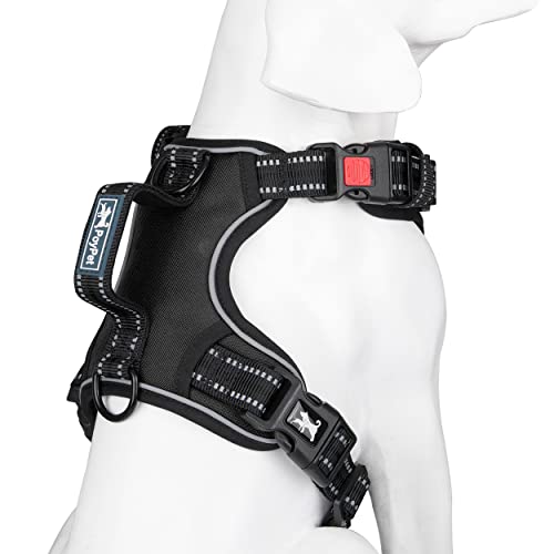 No Pull Dog Harness with 3 Leash Clips and Vertical Handle (Medium / Black)