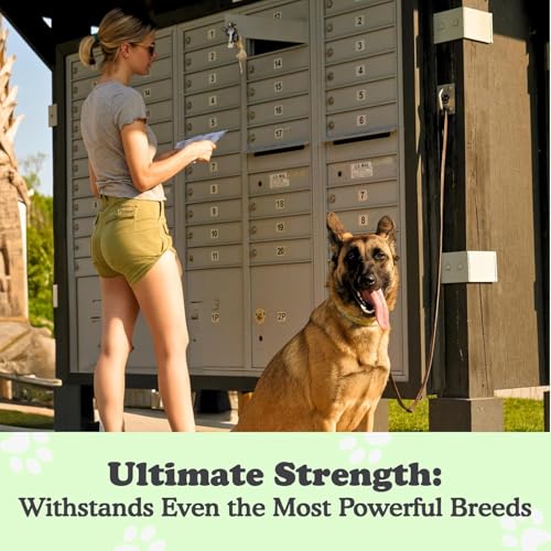 Canine Hitch Secure Dog Leash Parking Mounted Indoor (Ultimate Strength (2 pack))