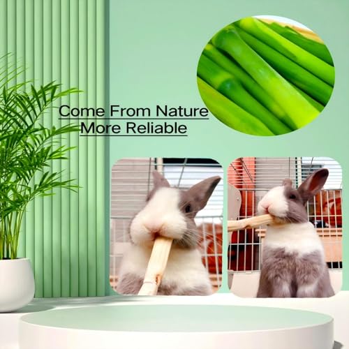 700g Sweet Bamboo Sticks for Rabbits