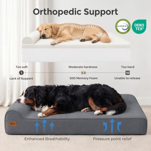 XXL 35D Memory Foam Dog Bed for Extra Large Dogs (XX-Large / Blue Grey)