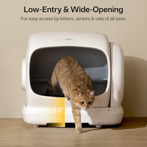 Automatic Litter Box