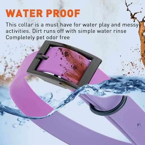 Biothane Waterproof Dog Collar Strong Coated Nylon Webbing with Black Hardware Odor (W1" x L22"-25" / Amethyst Purple)