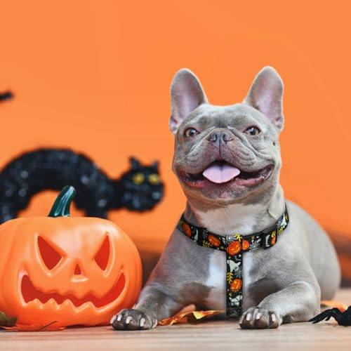 Halloween Dog Harness Small Sized Step (Black(Ghost) / Small)